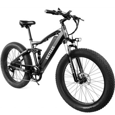 48V 250W Motor Electric Mountain Bike met 10AH Lithiumbatterij en geïntegreerde batterij