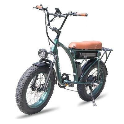 23AH Batterijcapaciteit 1000W 2000W Motor 20 inch Fat Bike Electric Bike Custom Support