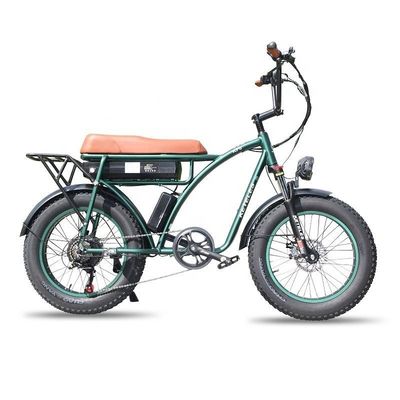 23AH Batterijcapaciteit 1000W 2000W Motor 20 inch Fat Bike Electric Bike Custom Support