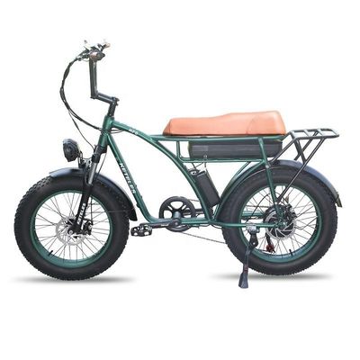 23AH Batterijcapaciteit 1000W 2000W Motor 20 inch Fat Bike Electric Bike Custom Support