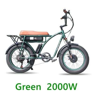 48V 23Ah Lithiumbatterij Elektrische fiets met mechanische schijfrem en krachtige motor