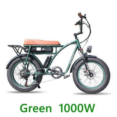 48V 23Ah Lithiumbatterij Elektrische fiets met mechanische schijfrem en krachtige motor