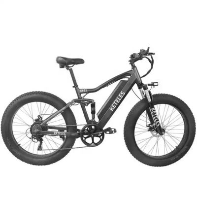48V 250W Motor Electric Mountain Bike met 10AH Lithiumbatterij en geïntegreerde batterij