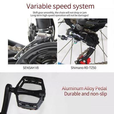 48V 250W Motor Electric Mountain Bike met 10AH Lithiumbatterij en geïntegreerde batterij