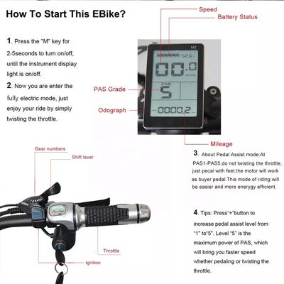 48V 250W Motor Electric Mountain Bike met 10AH Lithiumbatterij en geïntegreerde batterij