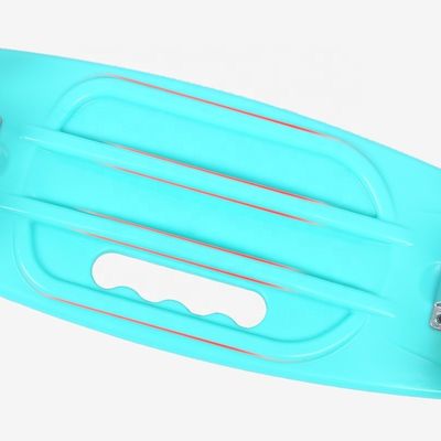 Flat-Plate Handheld Small Fish Board Printed Skateboard Vier Wielen Flash Mobility Scooter Voor Jongens En Meisjes