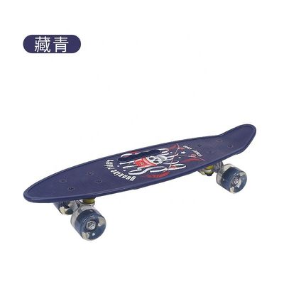 Flat-Plate Handheld Small Fish Board Printed Skateboard Vier Wielen Flash Mobility Scooter Voor Jongens En Meisjes