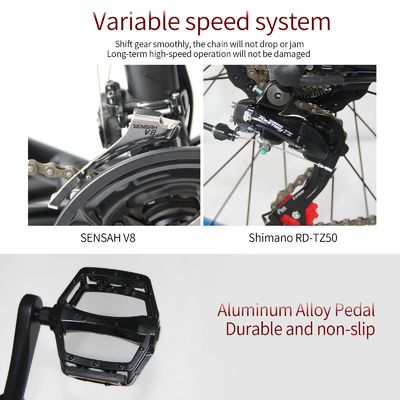 Aluminium frame 48V 13AH Lithiumbattery Fat Tire Elektrische fiets met 1000W motor