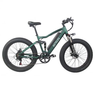 Aluminium frame 48V 13AH Lithiumbattery Fat Tire Elektrische fiets met 1000W motor