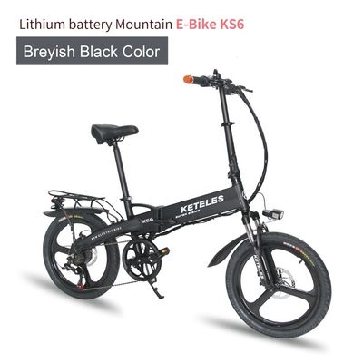 EU-markt 20 inch vouwbare elektrische fiets met 36V 250W motor en 10AH lithiumbatterie