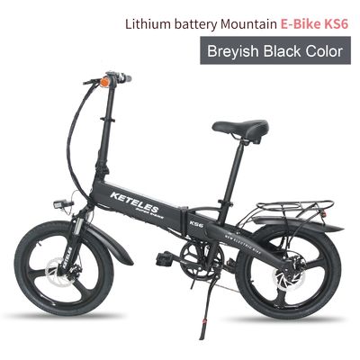 EU-markt 20 inch vouwbare elektrische fiets met 36V 250W motor en 10AH lithiumbatterie