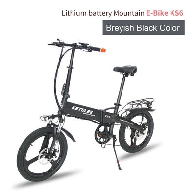 EU-markt 20 inch vouwbare elektrische fiets met 36V 250W motor en 10AH lithiumbatterie