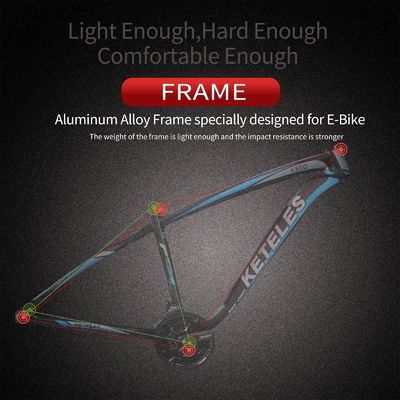 26AH 2000W High Power Two Wheel Drive Dual Motor Elektrische fiets met 26x4.0 inch Fat Tire