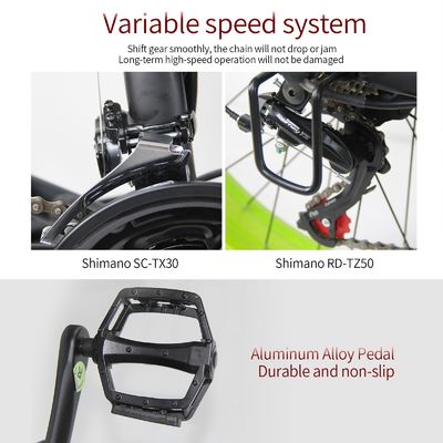 26AH 2000W High Power Two Wheel Drive Dual Motor Elektrische fiets met 26x4.0 inch Fat Tire