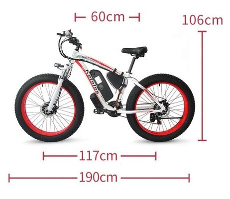 2000W elektrische fiets met 21AH Lithiumbatterie en 26x4.0 inch Fat Tire in EU Warehouse