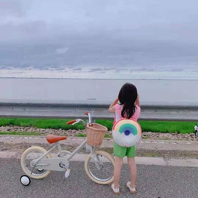 Alloy Rim INS Style 16 Inch Retro Kinderwiel Single Speed voor 4-8 jaar oude kinderen