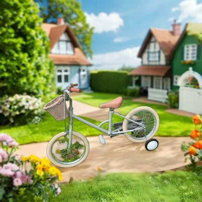 Alloy Rim INS Style 16 Inch Retro Kinderwiel Single Speed voor 4-8 jaar oude kinderen