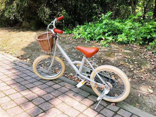 Alloy Rim INS Style 16 Inch Retro Kinderwiel Single Speed voor 4-8 jaar oude kinderen