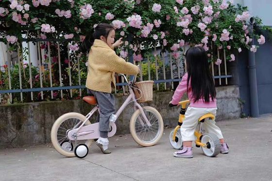 Alloy Rim INS Style 16 Inch Retro Kinderwiel Single Speed voor 4-8 jaar oude kinderen