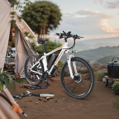 Ervaar de kracht van de 26&quot; professionele K820 Mountain E-Bike 48V 350W achterste motor