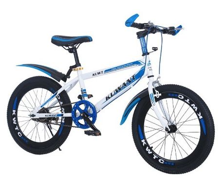 Kinderen 18/20/22/24 inch Mountain Bike Single Speed en 7-Speed High Carbon Steel voor jongens en meisjes
