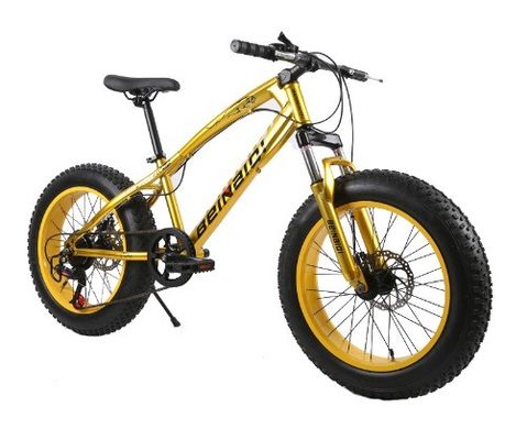 20 Inch Children's Beach Snow Bike 4.0 Fat Tire Mountain Bike met 7/21/24/27 snelheden