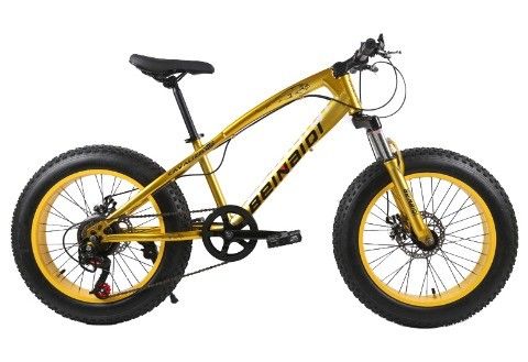 20 Inch Children's Beach Snow Bike 4.0 Fat Tire Mountain Bike met 7/21/24/27 snelheden