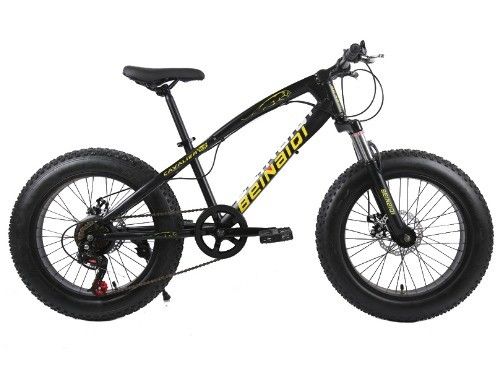 20 Inch Children's Beach Snow Bike 4.0 Fat Tire Mountain Bike met 7/21/24/27 snelheden