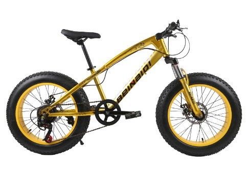 20 Inch Children's Beach Snow Bike 4.0 Fat Tire Mountain Bike met 7/21/24/27 snelheden